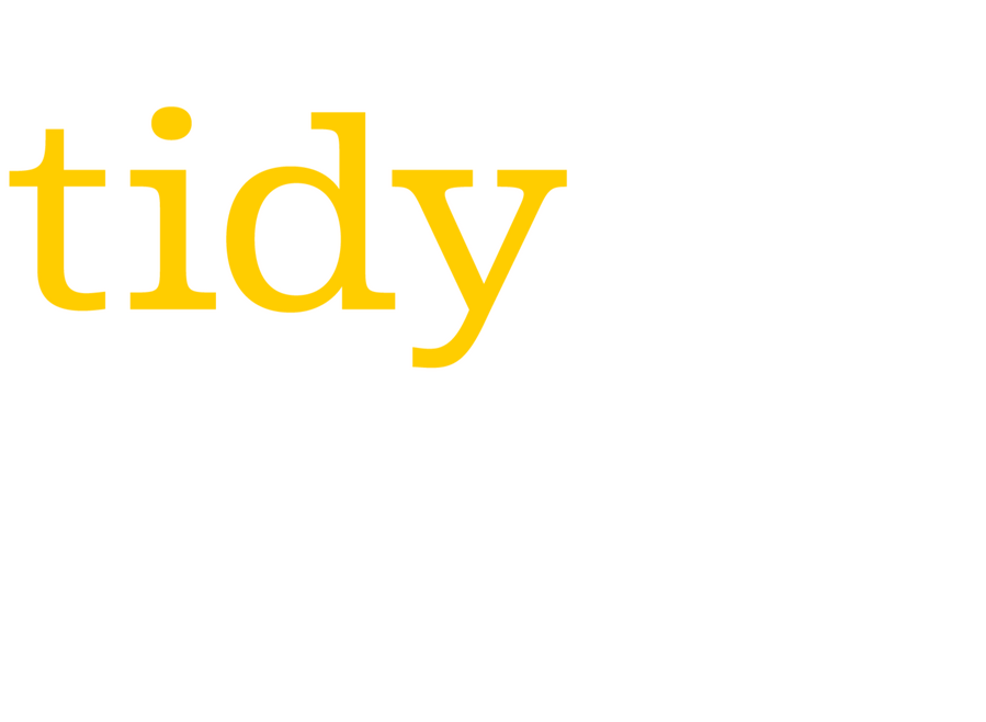Tidy Socials Tidy Socials Logo